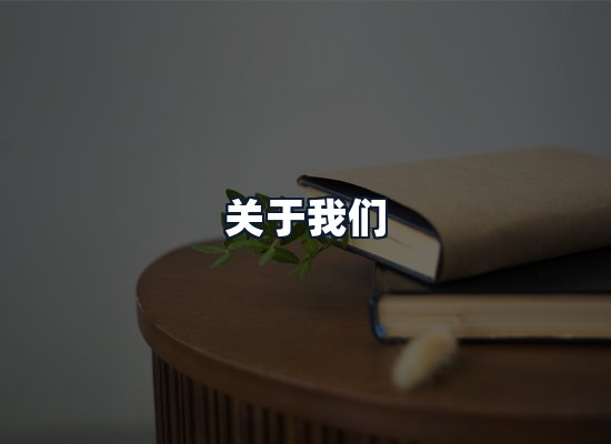 关于我们